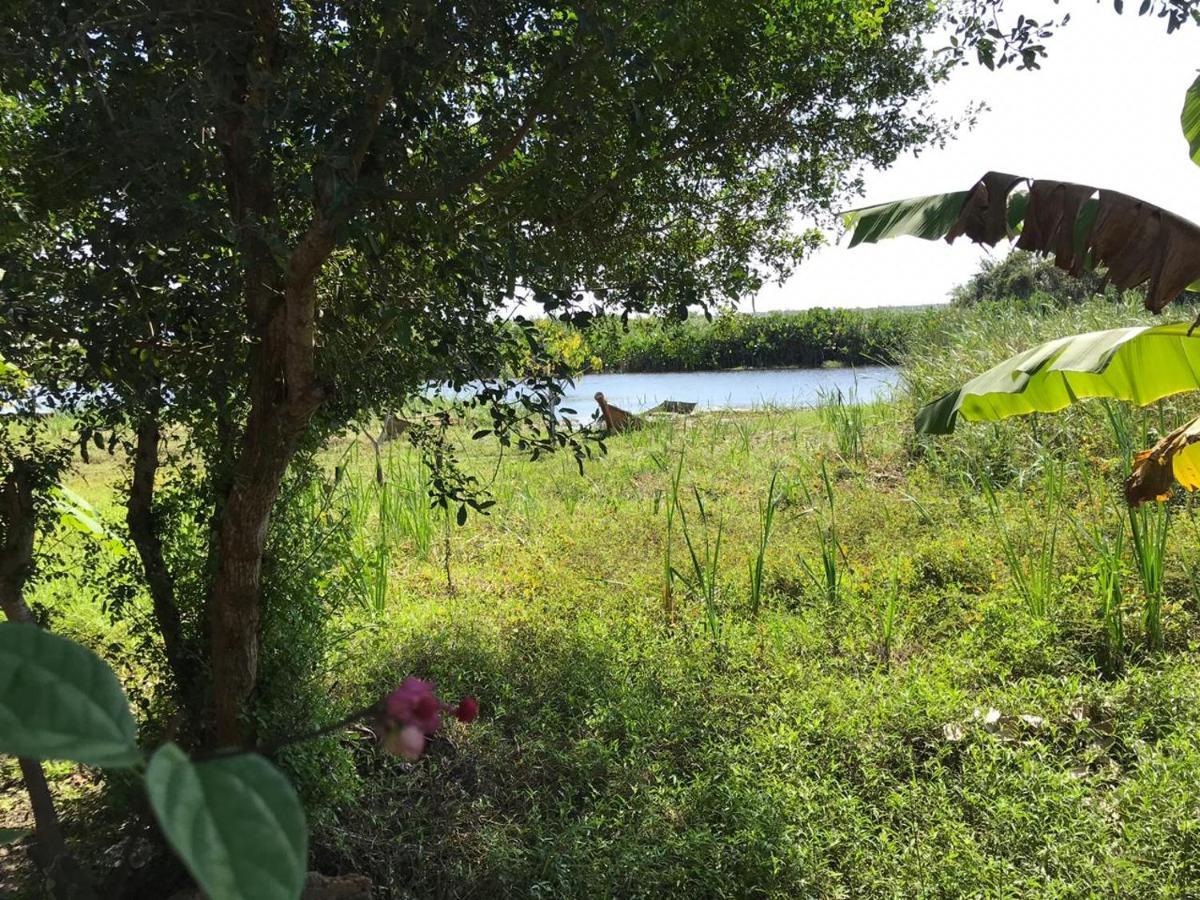 Pousada Mangue Seco Itaunas  Exteriör bild